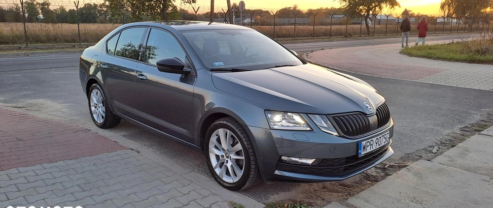 Skoda Octavia cena 70900 przebieg: 71000, rok produkcji 2019 z Połczyn-Zdrój małe 232